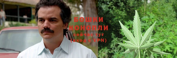 соль ск Горняк