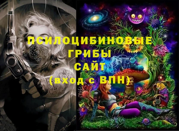 соль ск Горняк
