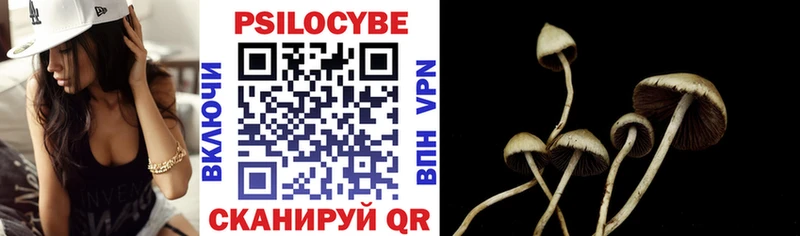 Галлюциногенные грибы Psilocybine cubensis  Купить где  Полесск 